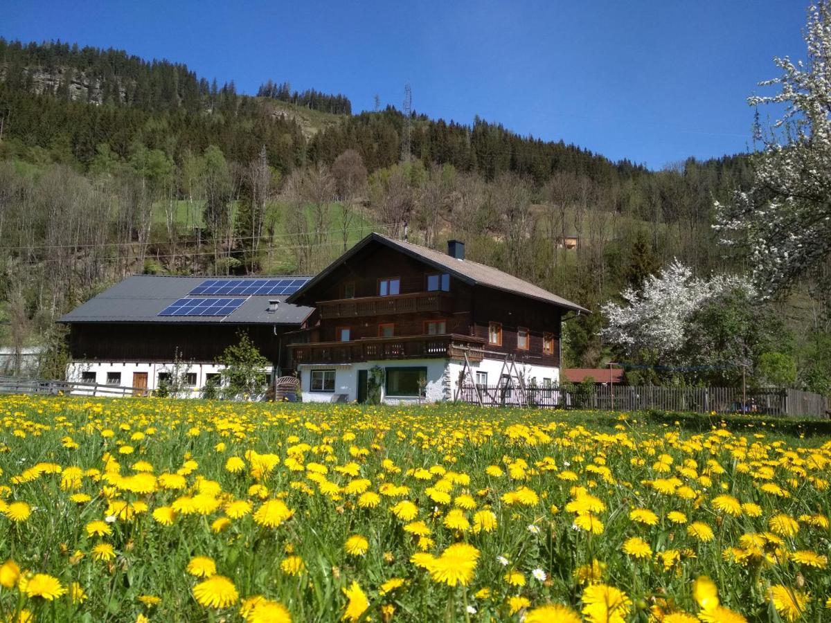 Villa Blonbauer Schladming Exterior foto