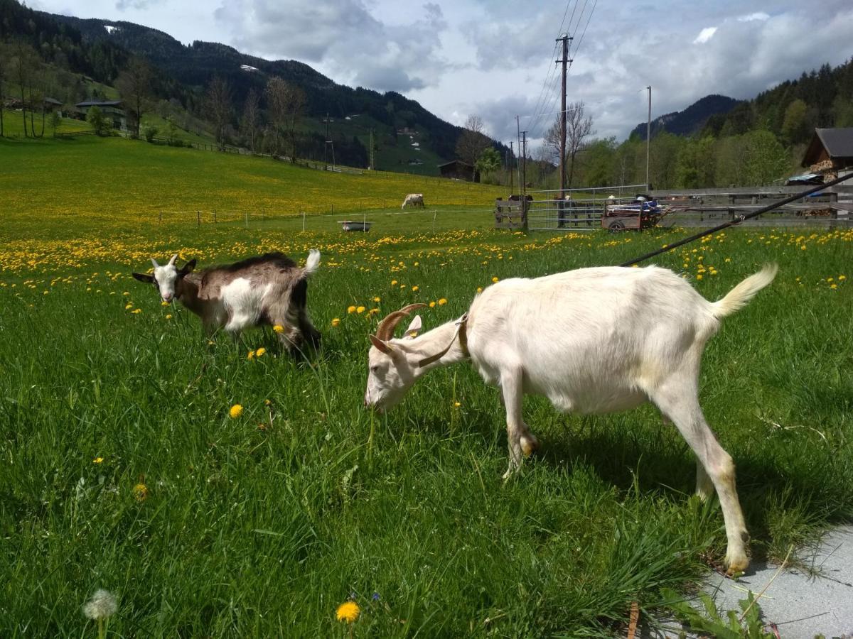 Villa Blonbauer Schladming Exterior foto