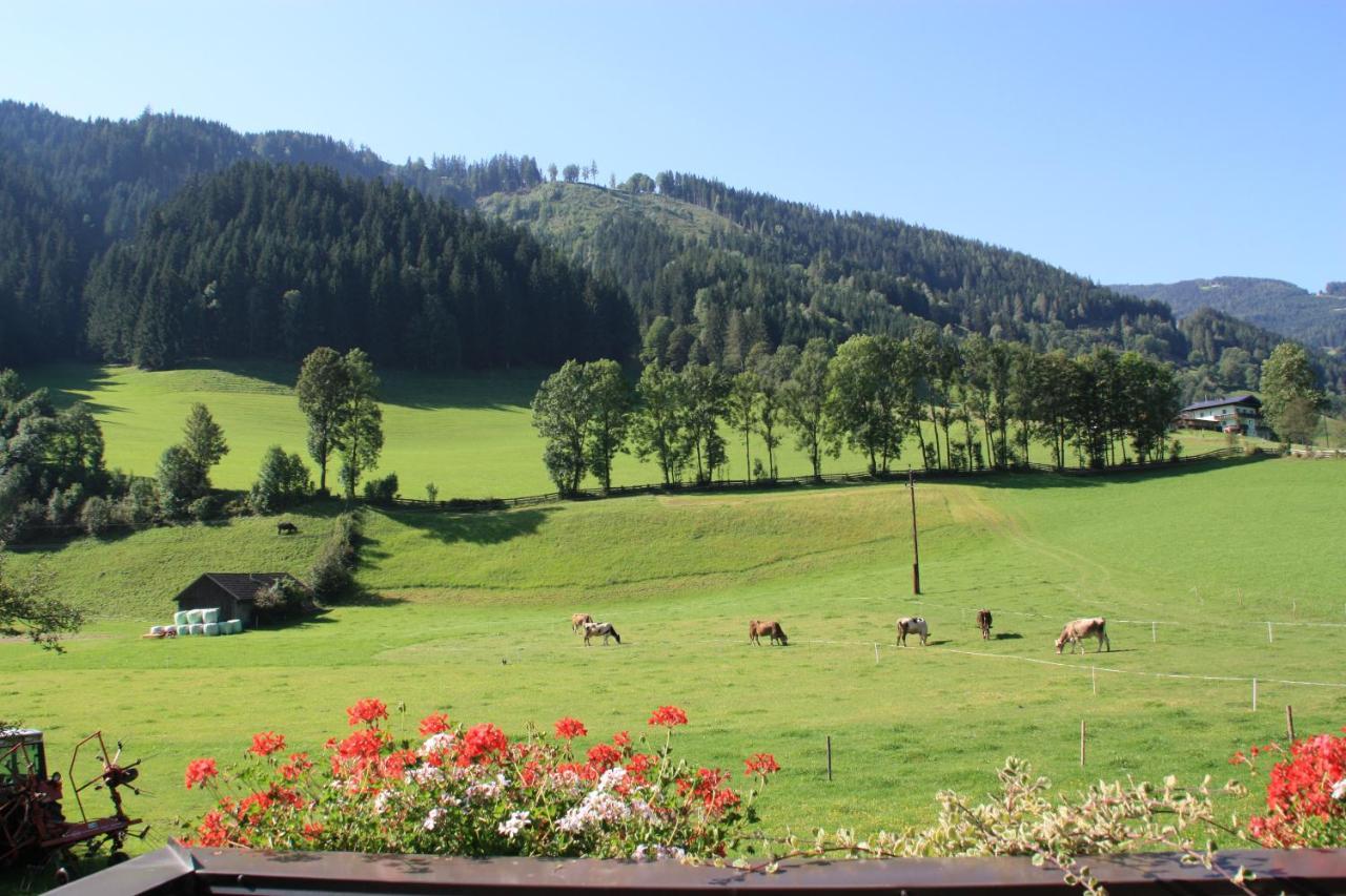 Villa Blonbauer Schladming Exterior foto